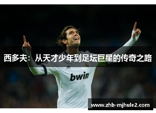 西多夫：从天才少年到足坛巨星的传奇之路