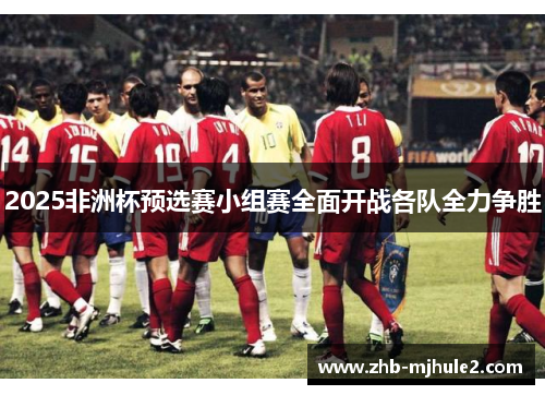 2025非洲杯预选赛小组赛全面开战各队全力争胜 2025非洲杯预选赛小组赛全面开战各队全力争胜