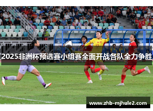 2025非洲杯预选赛小组赛全面开战各队全力争胜