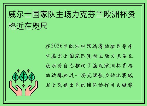 威尔士国家队主场力克芬兰欧洲杯资格近在咫尺 威尔士国家队主场力克芬兰欧洲杯资格近在咫尺