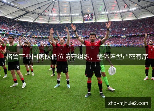 格鲁吉亚国家队低位防守组织，整体阵型严密有序